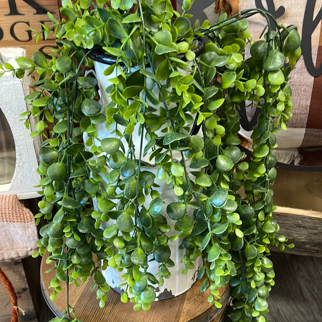 Eucalyptus Drop (PINK)