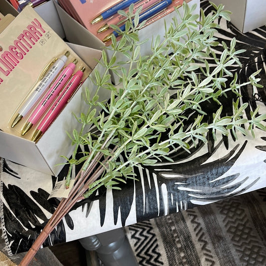 Rosemary Bush