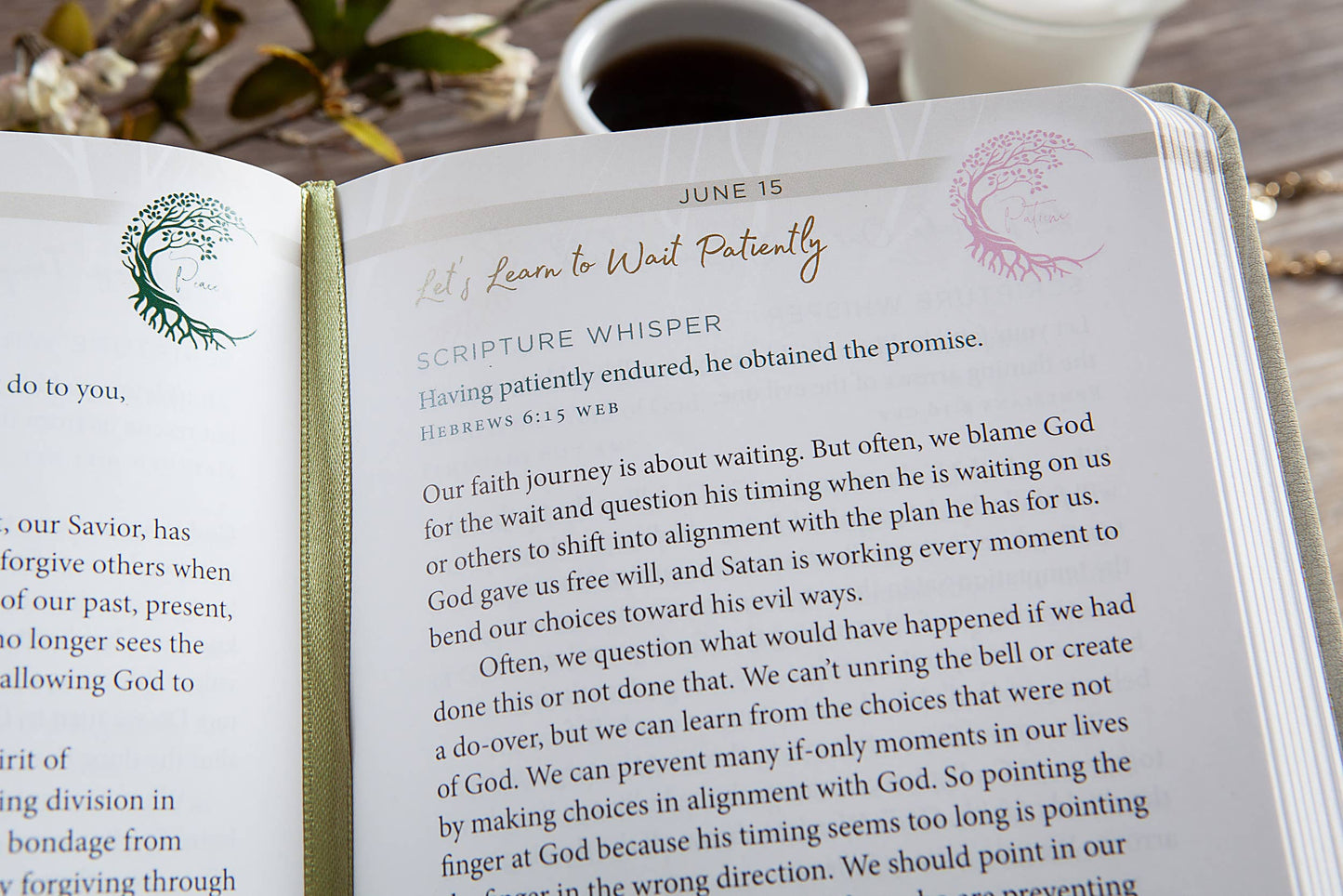 Pause and Pray (Daily Devotional)