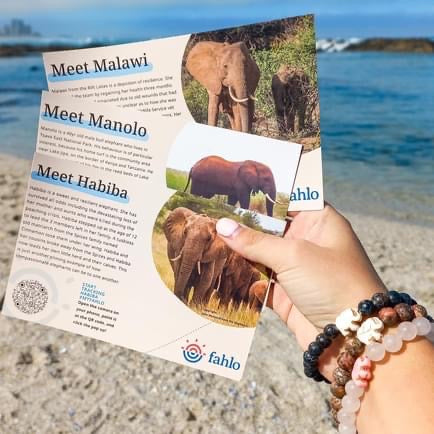 Fahlo Elephant Tracking Bracelet