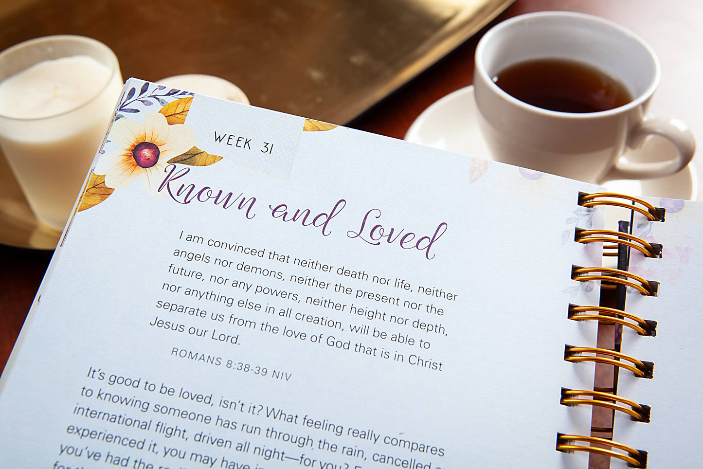 A Time for Everything (Weekly Devotional Journal)