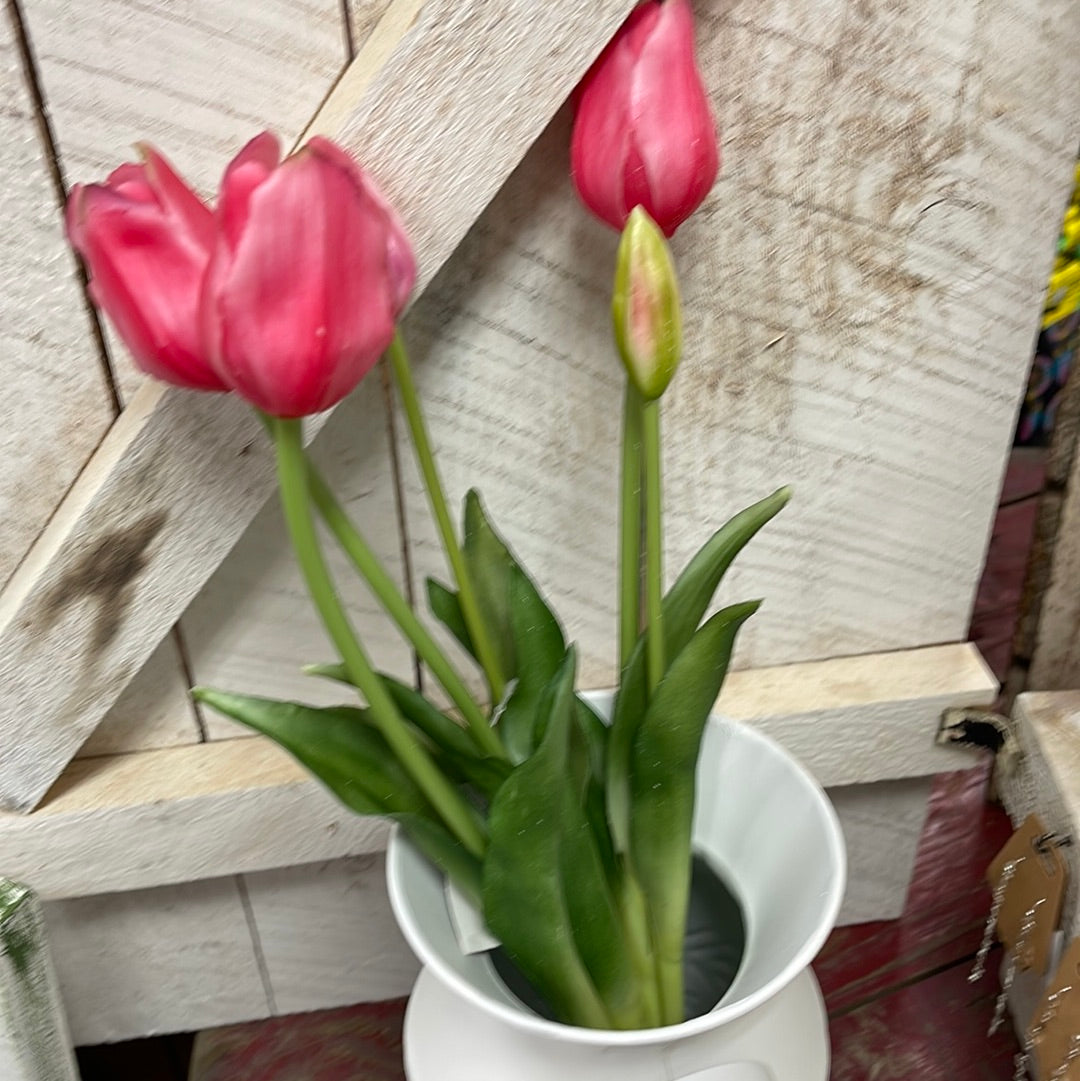 Pink Tulip Stem