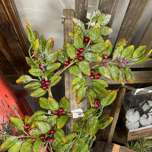 Holly Berry C-Ring (PINK)